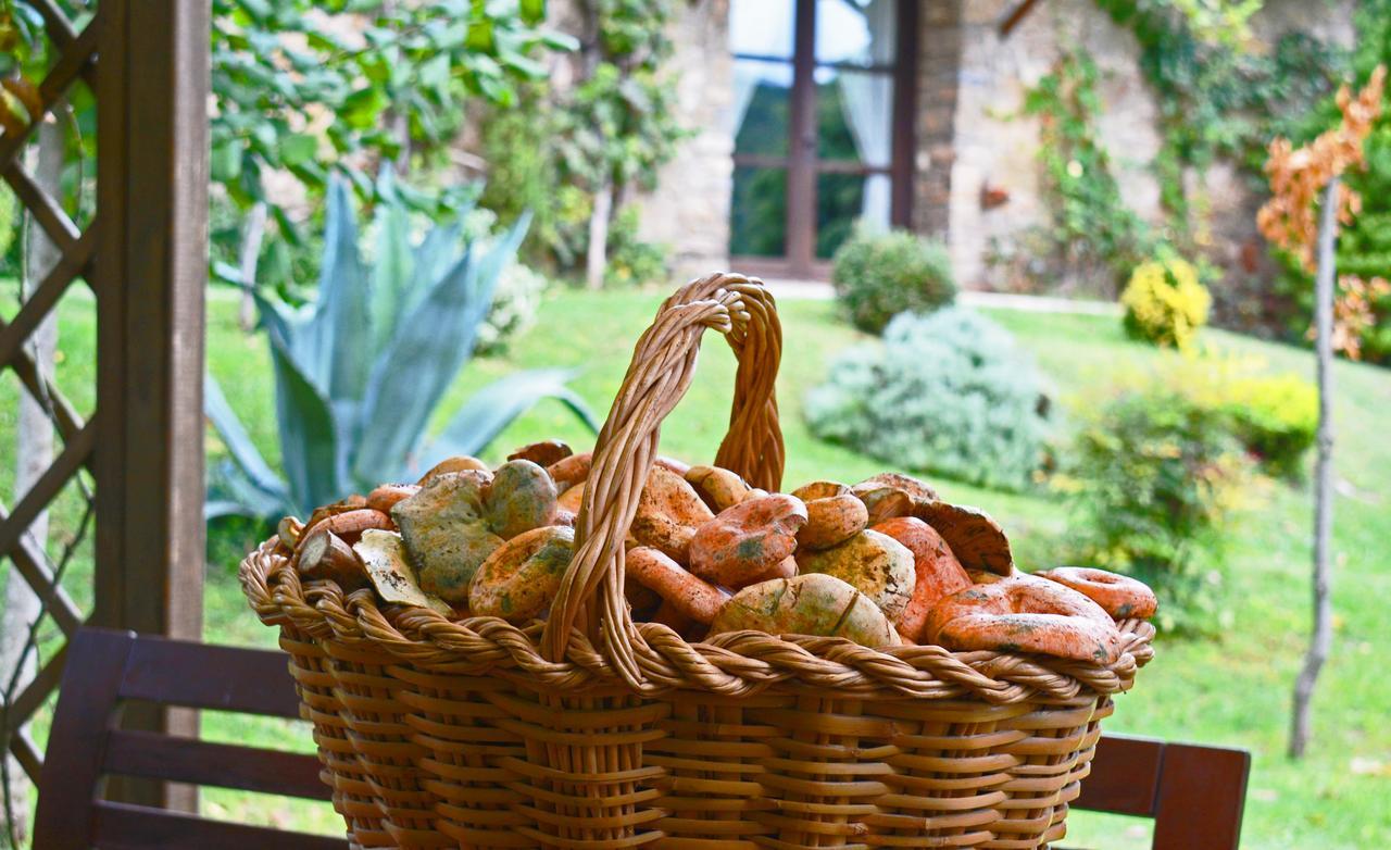 El Querol Vell Hotel Borreda Luaran gambar